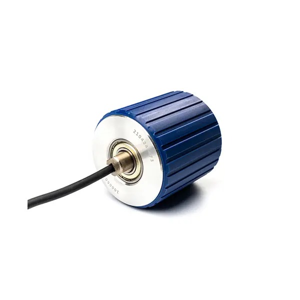 Подходят ли моторизованные ролики для тяжелых нагрузок?